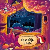 kniha Co se děje v noci, Albatros 2022