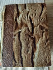 kniha Jeho oběť román, Jos. R. Vilímek 1926