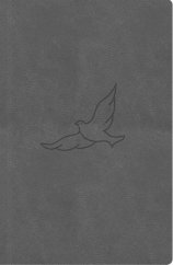 kniha Bible21 kapesní Pepper, Biblion 2025