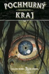 kniha Pochmurný kraj 8 Nenávratno, Comics Centrum 2021