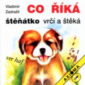 kniha Co říká-, Axióma 2004