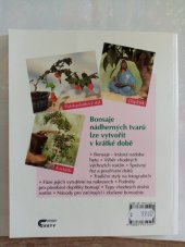 kniha Bonsaje tvarování pokojových bonsají, Ottovo nakladatelství - Cesty 1999