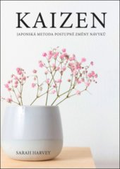 kniha Kaizen Japonská metoda postupné změny návyků, Anag 2020