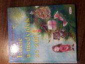 kniha Lucie a medvídek ze zdi, ARSCI 2000