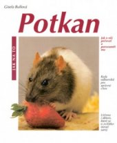 kniha Potkan jako domácí zvíře správná péče a porozumění : rady odborníků pro vhodný chov, Vašut 2001