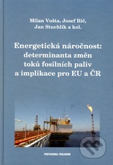 kniha Energetická náročnost: determinanta změn toků fosilních paliv a implikace pro EU a ČR, Professional Publishing 2008