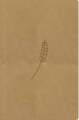 kniha Bible21 kapesní Honey, Biblion 2025