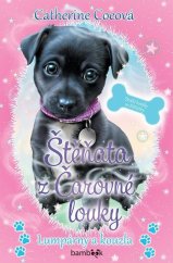 kniha Štěňata s Čarovné louky Lumpárny a kouzla, Bambook 2022