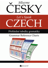 kniha Mluvme česky přehledné tabulky gramatiky = Let's speak Czech : grammar reference charts, Fragment 2011