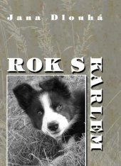 kniha Rok s Karlem, Nová Forma 2013