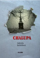 kniha Chalupa, ALMI 2013