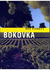 kniha Bokovka, XYZ 2009