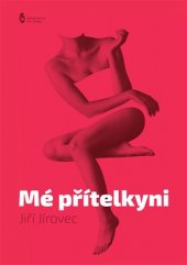 kniha Mé přítelkyni, Petr Štengl 2017