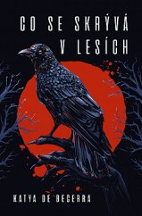kniha Co se skrývá v lesích, Kingcool 2020