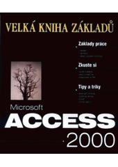 kniha Microsoft Access 2000 velká kniha základů, Unis 1999