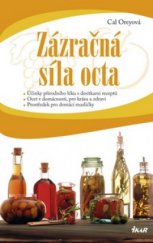 kniha Zázračná síla octa účinky přírodního léku s desítkami receptů : ocet v domácnosti, pro krásu a zdraví : prostředek pro domácí mazlíčky, Ikar 2009