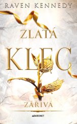 kniha Zářivá, Baronet 2025