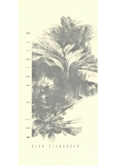 kniha Muž s křídlem, Akord 2004