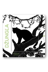 kniha Krásne farby Džungľa, Svojtka 2022