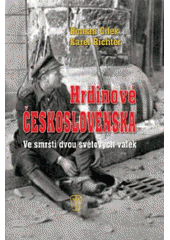 kniha Hrdinové Československa ve smršti dvou světových válek : rok 1914-1945, Naše vojsko 2011