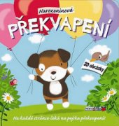 kniha Narozeninová překvapení, Rebo 2014