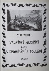 kniha Valašské Meziříčí, aneb, Vzpomínání a toulání, Kulturní zařízení 1995