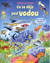 kniha Co se děje pod vodou Podívej se pod obrázek, Svojtka & Co. 2014