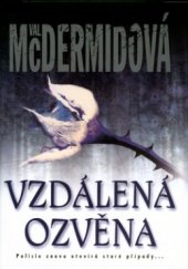 kniha Vzdálená ozvěna, BB/art 2004