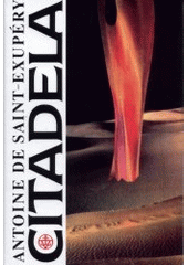kniha Citadela, Vyšehrad 1996