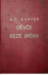 kniha Děvče beze jména román o třech dílech, Románový deníček 1933