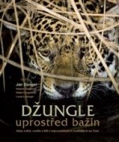 kniha Džungle uprostřed bažin, Extra Publishing 2013