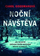 kniha Noční návštěva Ani největší sněhová bouře nepohřbí děsivá tajemství..., Cosmopolis 2020