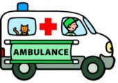kniha Ambulance, Svojtka & Co. 2011