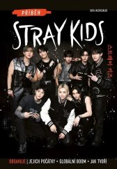 kniha Příběh Stray Kids Neautorizovaný průvodce, CPress 2025
