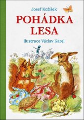 kniha Pohádka lesa, Sun 2024