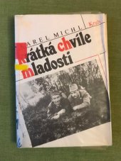 kniha Krátká chvíle mladosti paměti, Kruh 1988