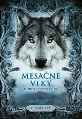 kniha Mesačné vlky 1 Tajomstvo tieňových vlkov, Stonožka 2024