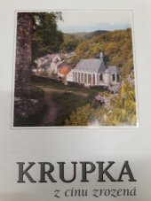 kniha Krupka z cínu zrozená, Pro Město Krupka připravilo vydavatelství NIS Teplice 2005