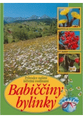 kniha Babiččiny bylinky průvodce našimi léčivými rostlinami, Ottovo nakladatelství - Cesty 2002