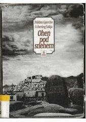 kniha Oheň pod sněhem, Volvox Globator 1998