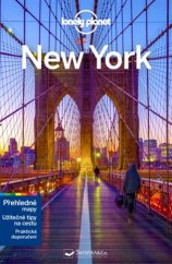 kniha New York Lonely Planet, Svojtka & Co. 2020