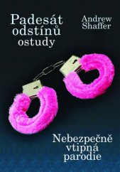 kniha Padesát odstínů ostudy, XYZ 2013