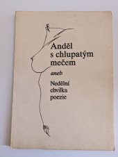 kniha Anděl s chlupatým mečem, Comet 1993