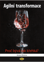 kniha Agilní transformace Proč bývá tak křehká?, KOOP 2020