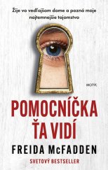 kniha Pomocníčka ťa vidí, Motýl 2024