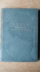 kniha Brzdy všech soustav, používaných u čsl. železnic, Federace strojvůdců v ČSR 1923