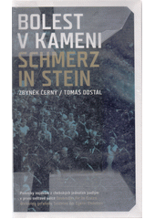 kniha Bolest v kameni pomníky vojákům z chebských jednotek padlým v první světové válce = Schmerz in Stein : Denkmäler für im Ersten Weltkrieg gefallene Soldaten der Egerer Einheiten, Krajské muzeum Karlovarského kraje, Muzeum Cheb 2007