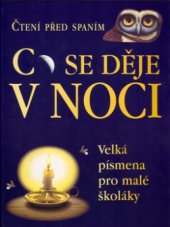 kniha Co se děje v noci? čtení před spaním, Svojtka & Co. 2002