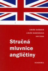 kniha Stručná mluvnice angličtiny, Academia 2006
