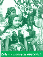 kniha Zeleň v lidových obyčejích, Slovácké muzeum 2003